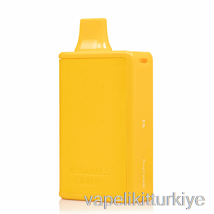 Vape Likit Ufuk Ikili Dosyalar Kabini 10000 Tek Kullanımlık Pina Colada